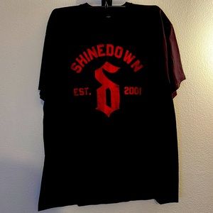 Shine down tee